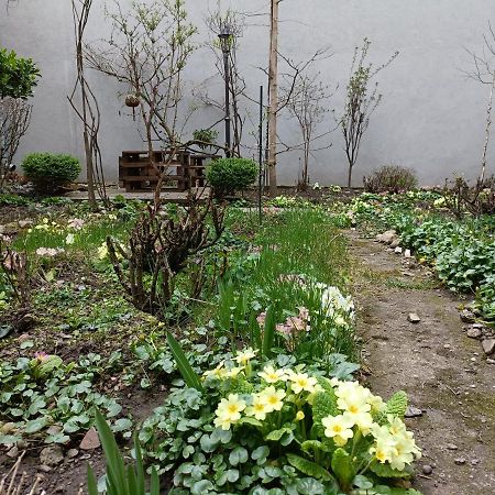 Apartamento Piata Muzeului 1 Cluj-Napoca Exterior foto